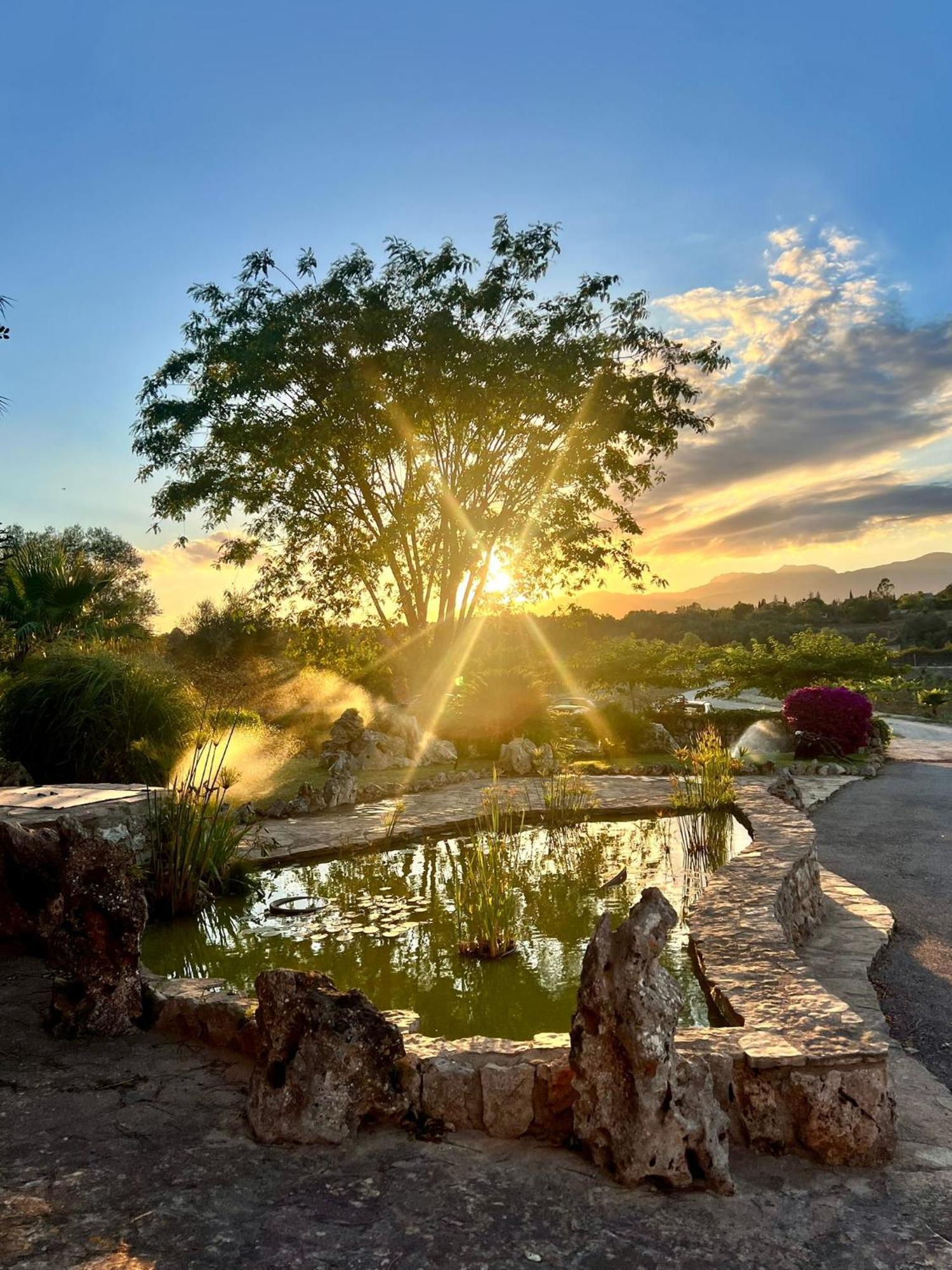 Agroturismo Ses Illes Costitx  Bagian luar foto